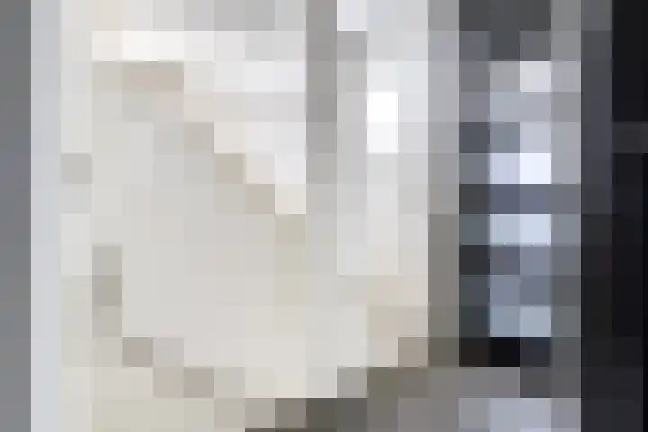 Runmolenerf 2 Gouda thumbnail 20