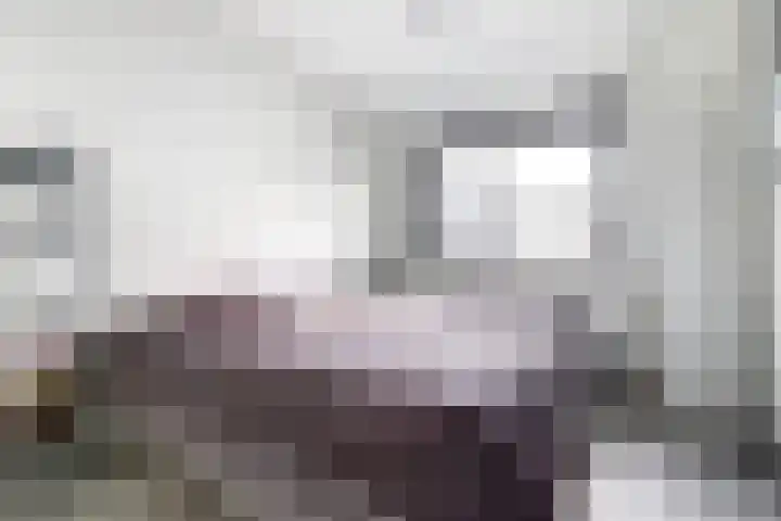 Runmolenerf 2 Gouda thumbnail 21