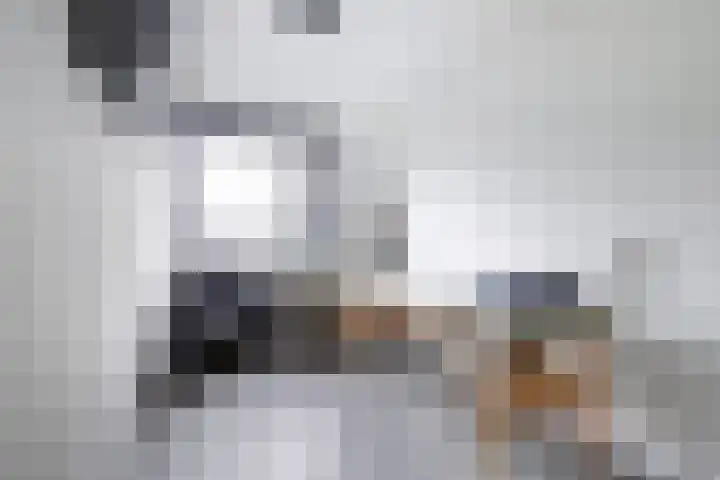 Runmolenerf 2 Gouda thumbnail 23