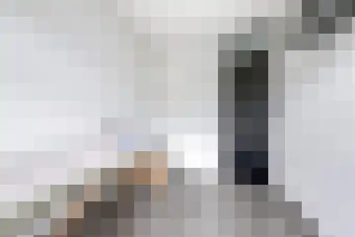 Runmolenerf 2 Gouda thumbnail 24