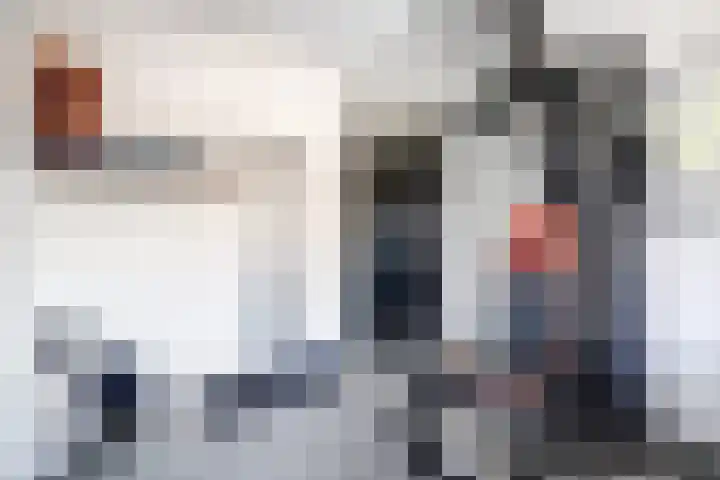 Runmolenerf 2 Gouda thumbnail 25