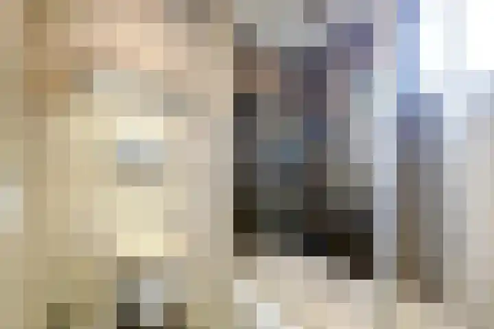 Runmolenerf 2 Gouda thumbnail 26