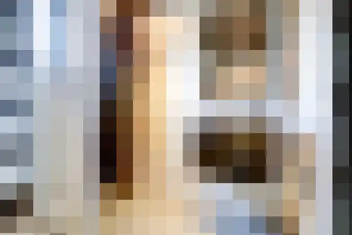 Runmolenerf 2 Gouda thumbnail 27