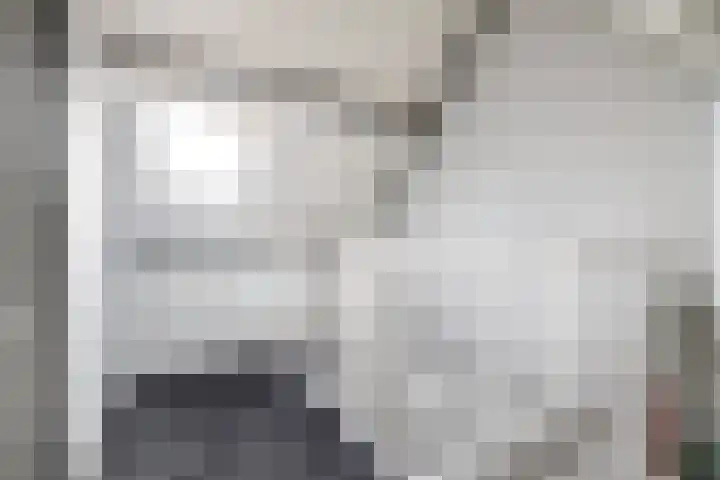 Runmolenerf 2 Gouda thumbnail 29