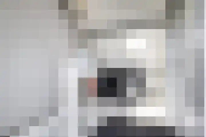 Runmolenerf 2 Gouda thumbnail 30