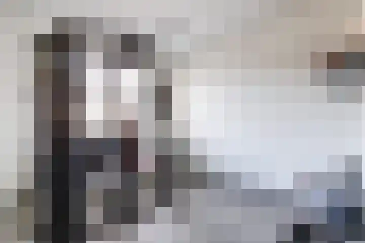 Runmolenerf 2 Gouda thumbnail 31
