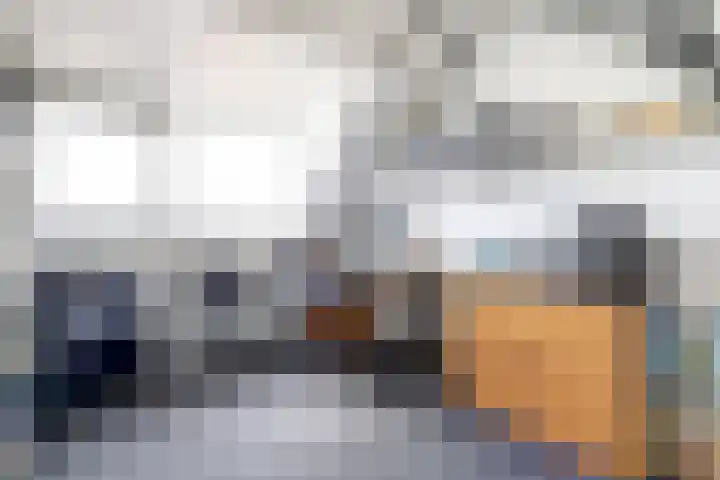 Runmolenerf 2 Gouda thumbnail 33