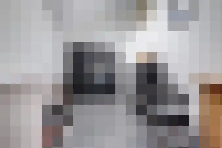 Runmolenerf 2 Gouda thumbnail 36