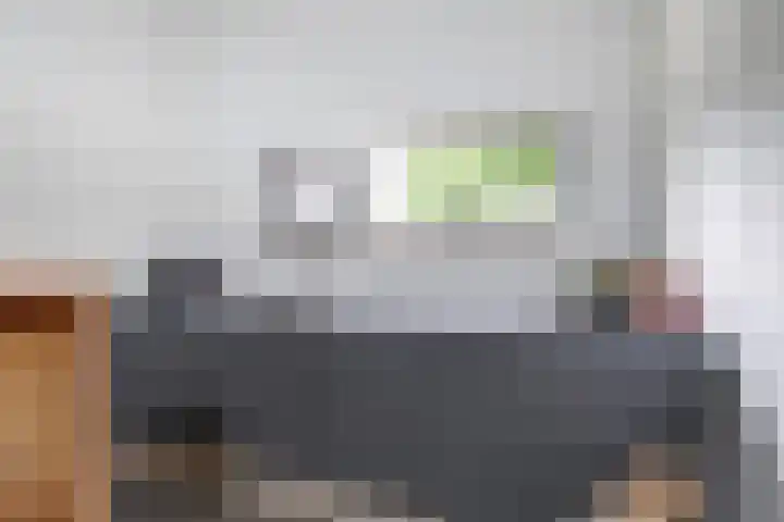 Runmolenerf 2 Gouda thumbnail 38