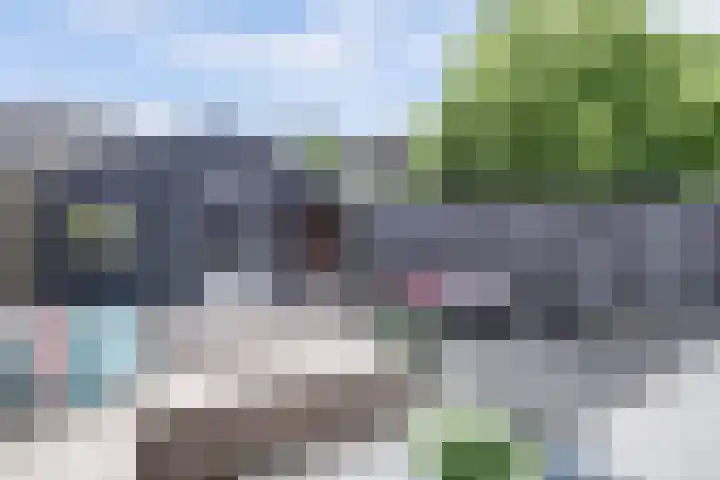 Runmolenerf 2 Gouda thumbnail 4