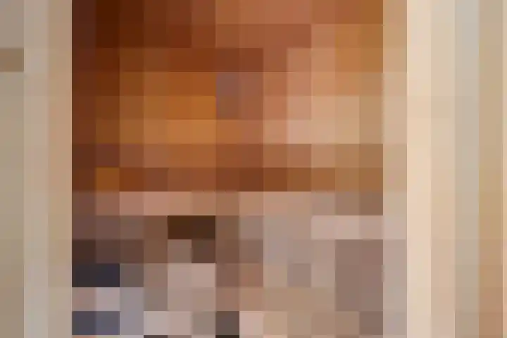 Runmolenerf 2 Gouda thumbnail 40