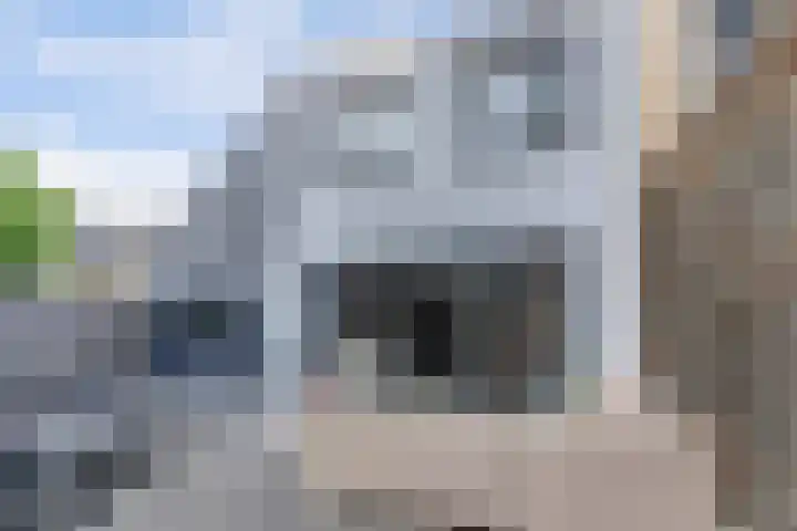 Runmolenerf 2 Gouda thumbnail 43