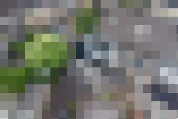 Runmolenerf 2 Gouda thumbnail 44