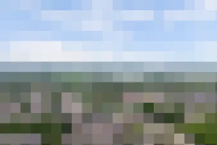Runmolenerf 2 Gouda thumbnail 45
