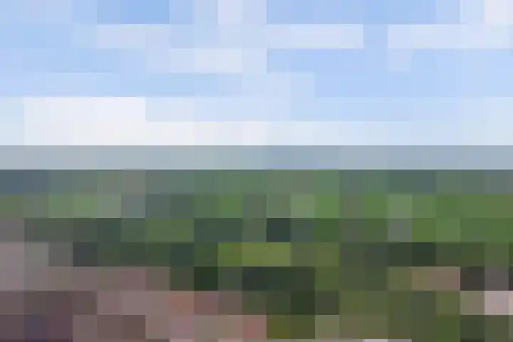 Runmolenerf 2 Gouda thumbnail 46