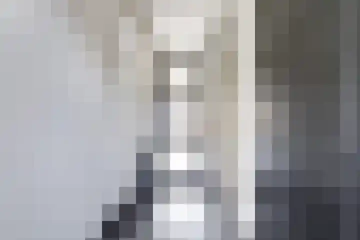 Runmolenerf 2 Gouda thumbnail 8