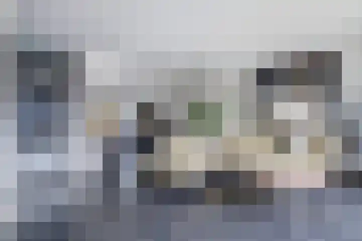 Runmolenerf 2 Gouda thumbnail 9