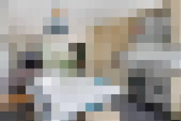 Runmolenlaan 7 Lochem thumbnail 10