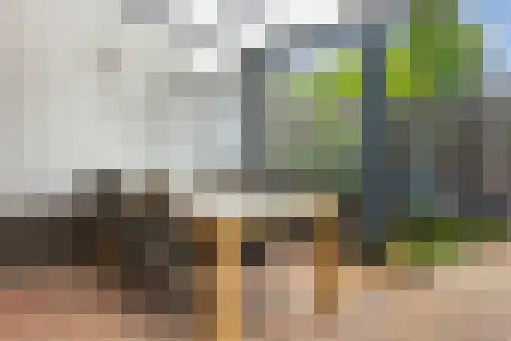 Runmolenlaan 7 Lochem thumbnail 13