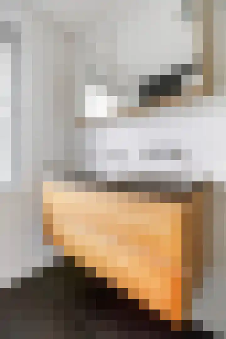 Runmolenlaan 7 Lochem thumbnail 21