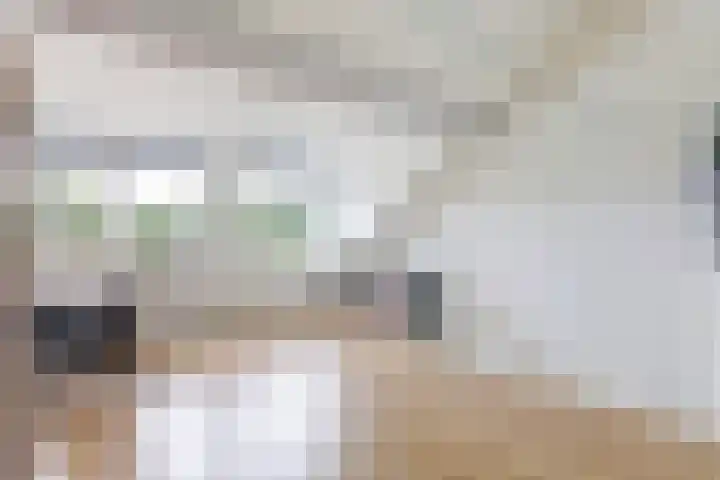Runmolenlaan 7 Lochem thumbnail 27