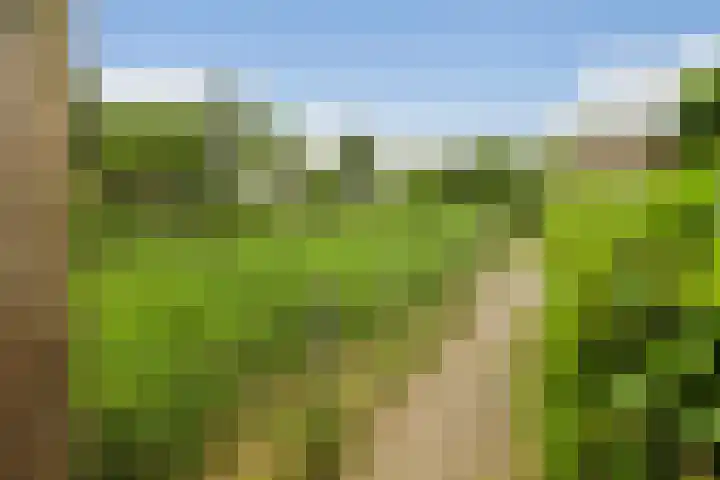 Runmolenlaan 7 Lochem thumbnail 35