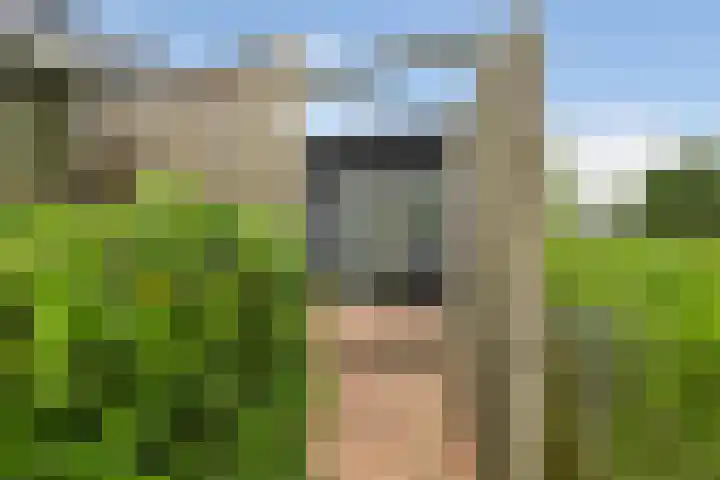 Runmolenlaan 7 Lochem thumbnail 36