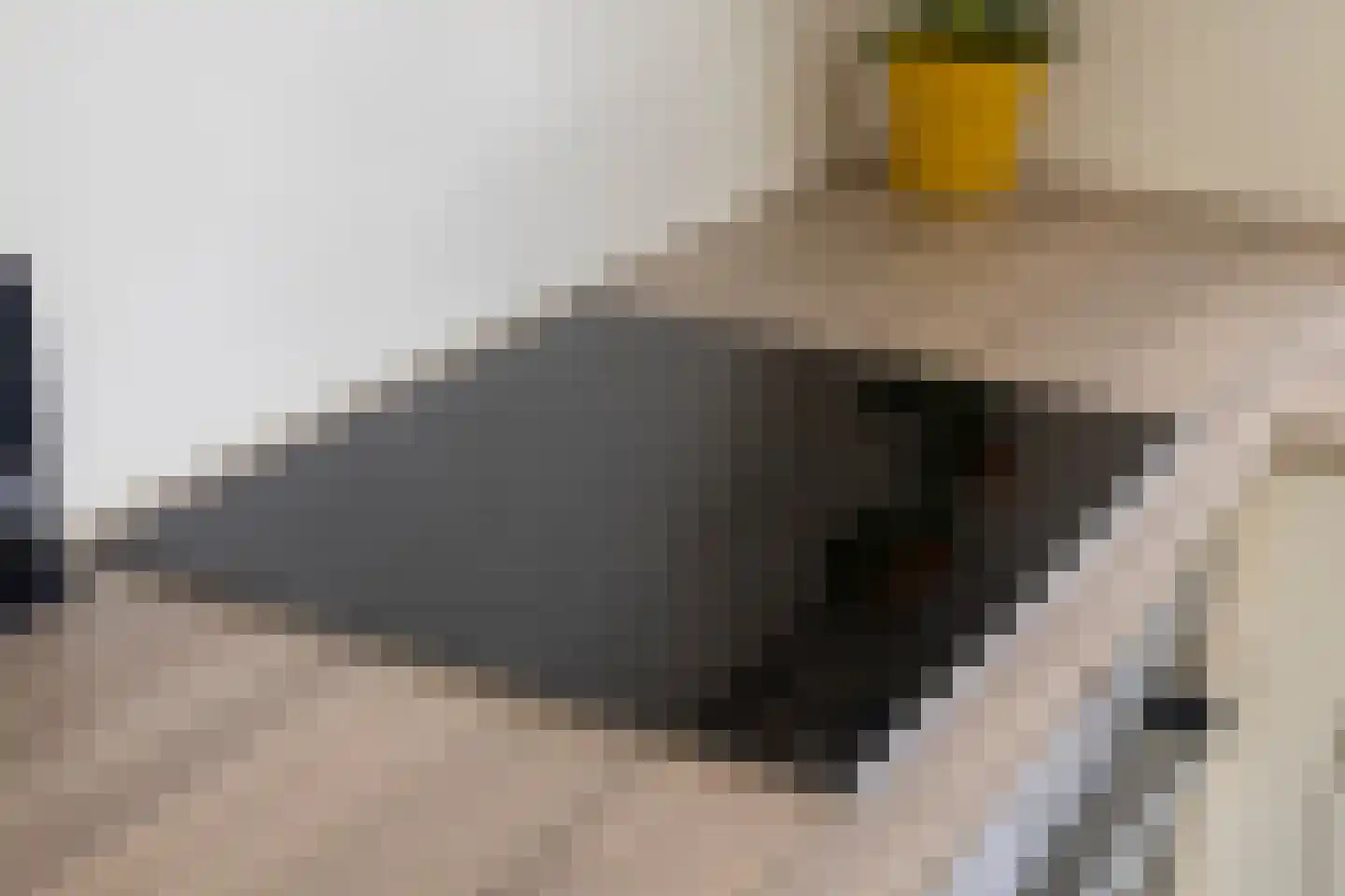 Runmolenlaan 8 Lochem thumbnail 10