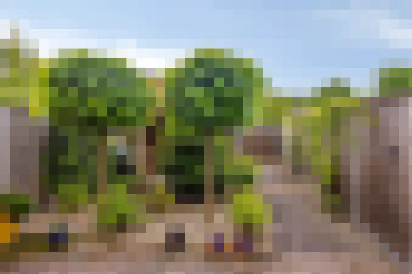 Runmolenlaan 8 Lochem thumbnail 23
