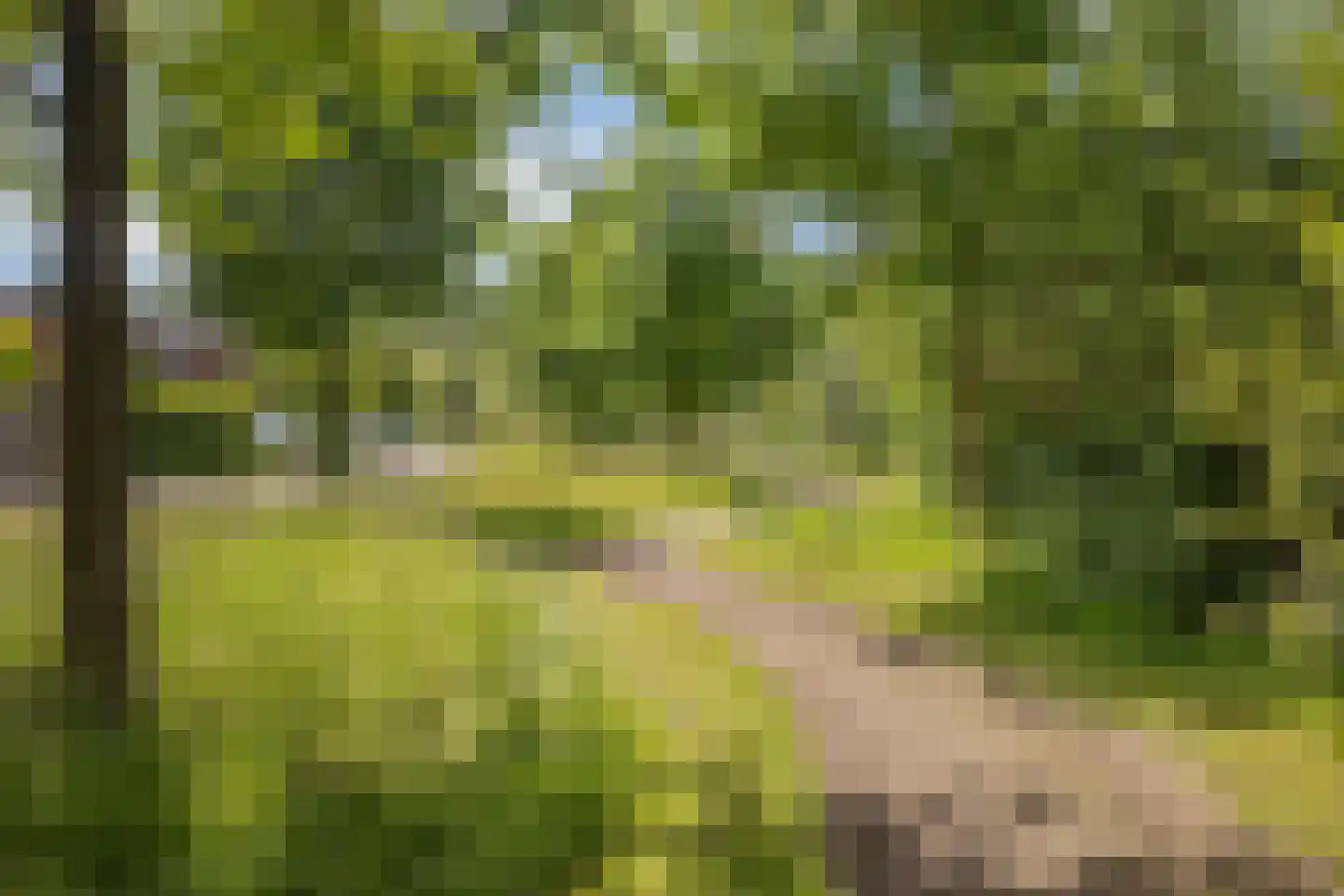 Runmolenlaan 8 Lochem thumbnail 26