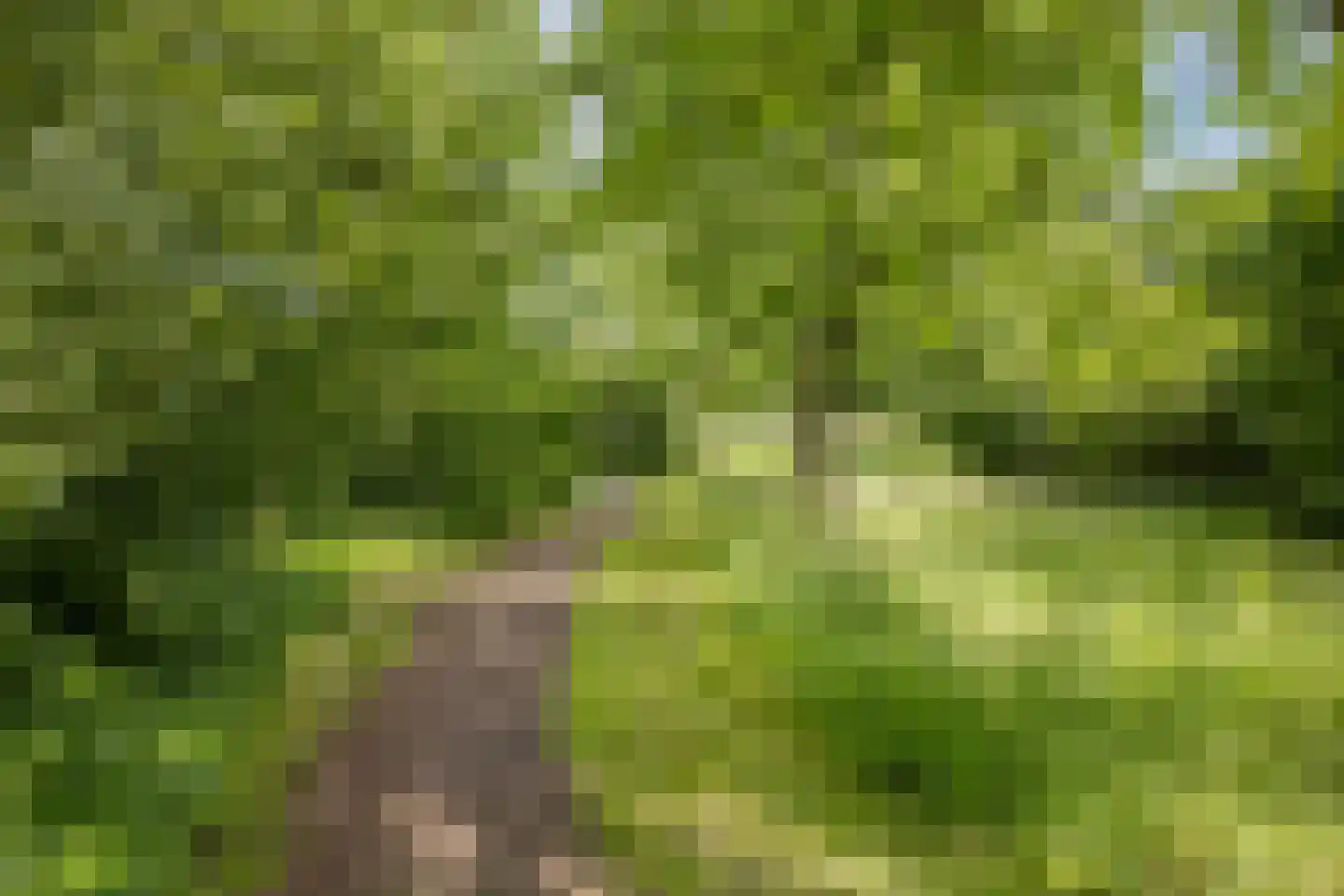 Runmolenlaan 8 Lochem thumbnail 27