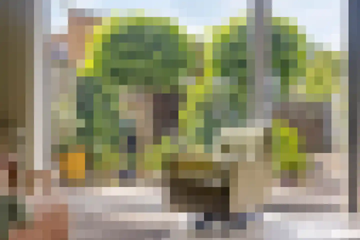 Runmolenlaan 8 Lochem thumbnail 6