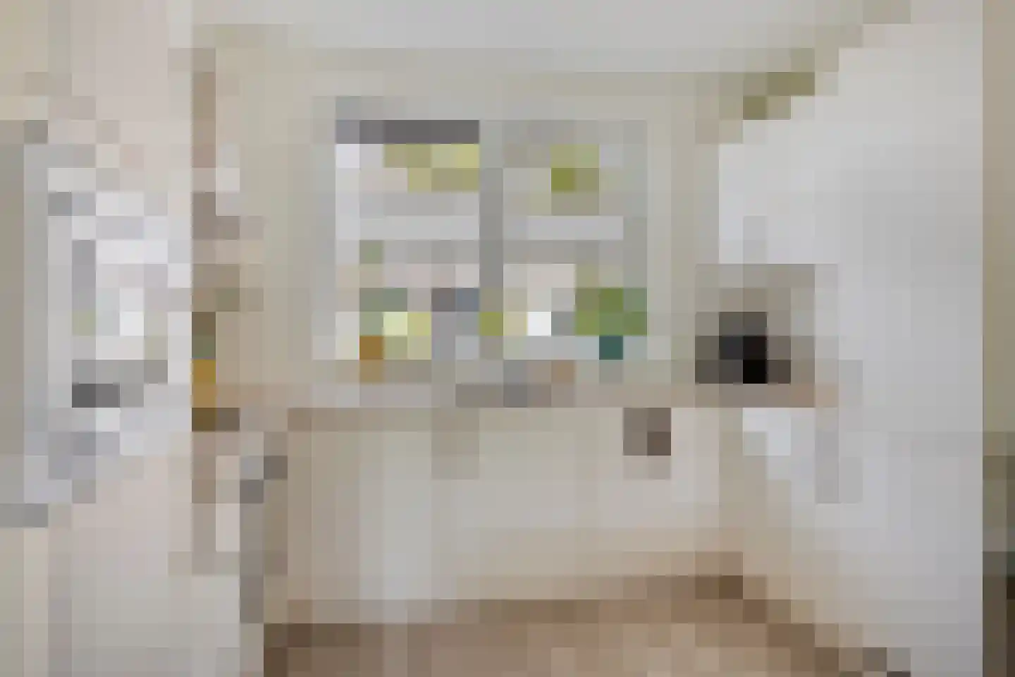 Runmolenlaan 8 Lochem thumbnail 8