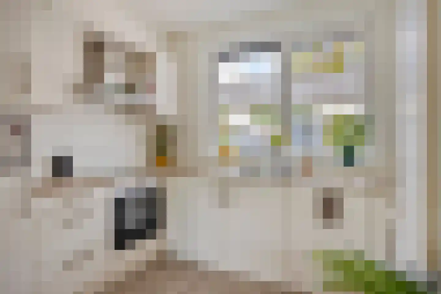 Runmolenlaan 8 Lochem thumbnail 9