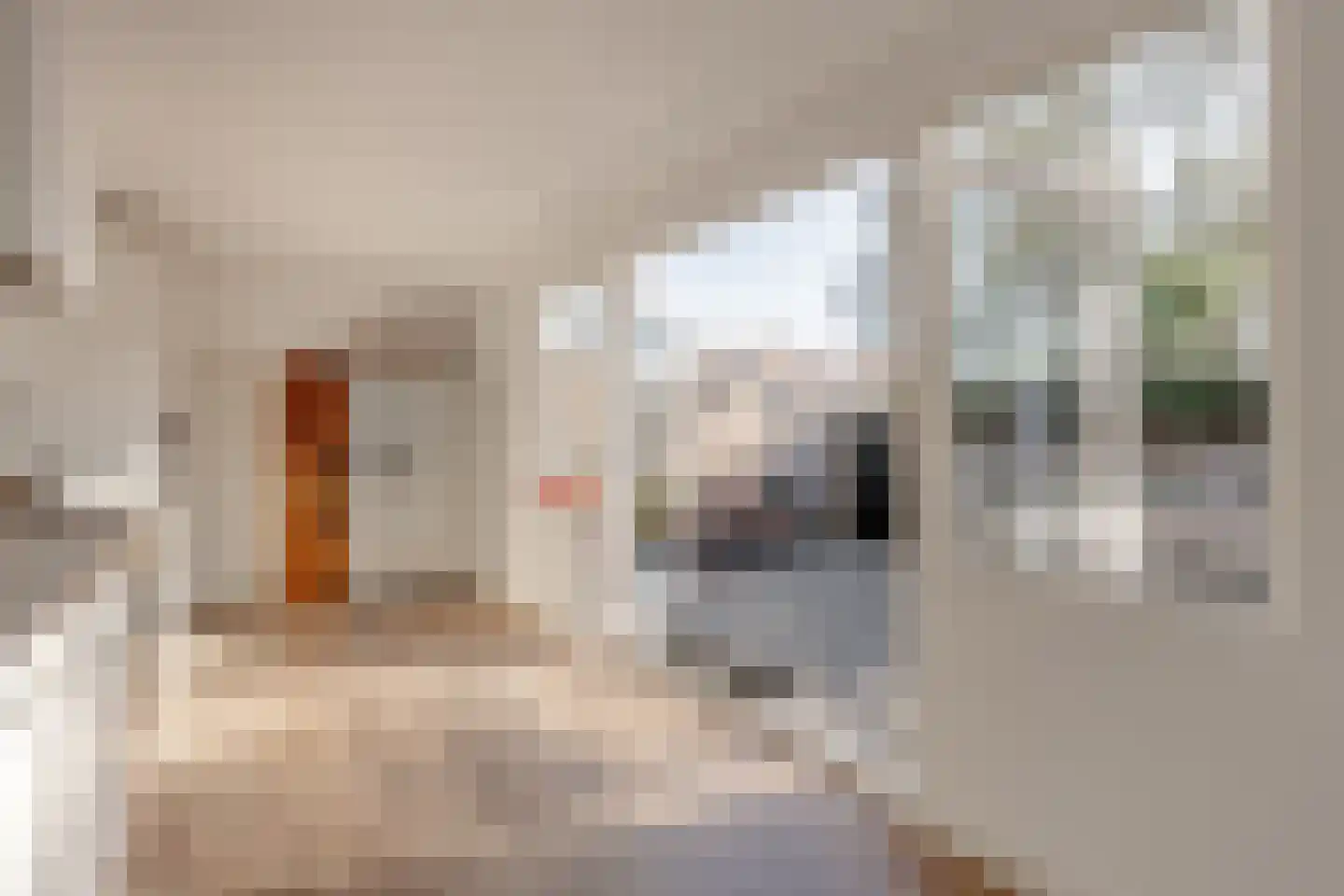 Runmoolen 10 Amstelveen thumbnail 16
