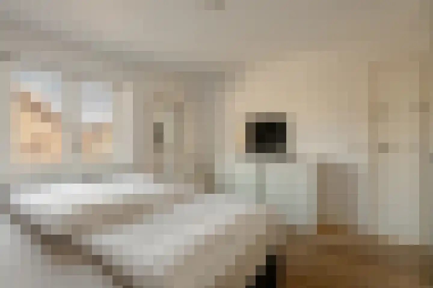 Runmoolen 10 Amstelveen thumbnail 24
