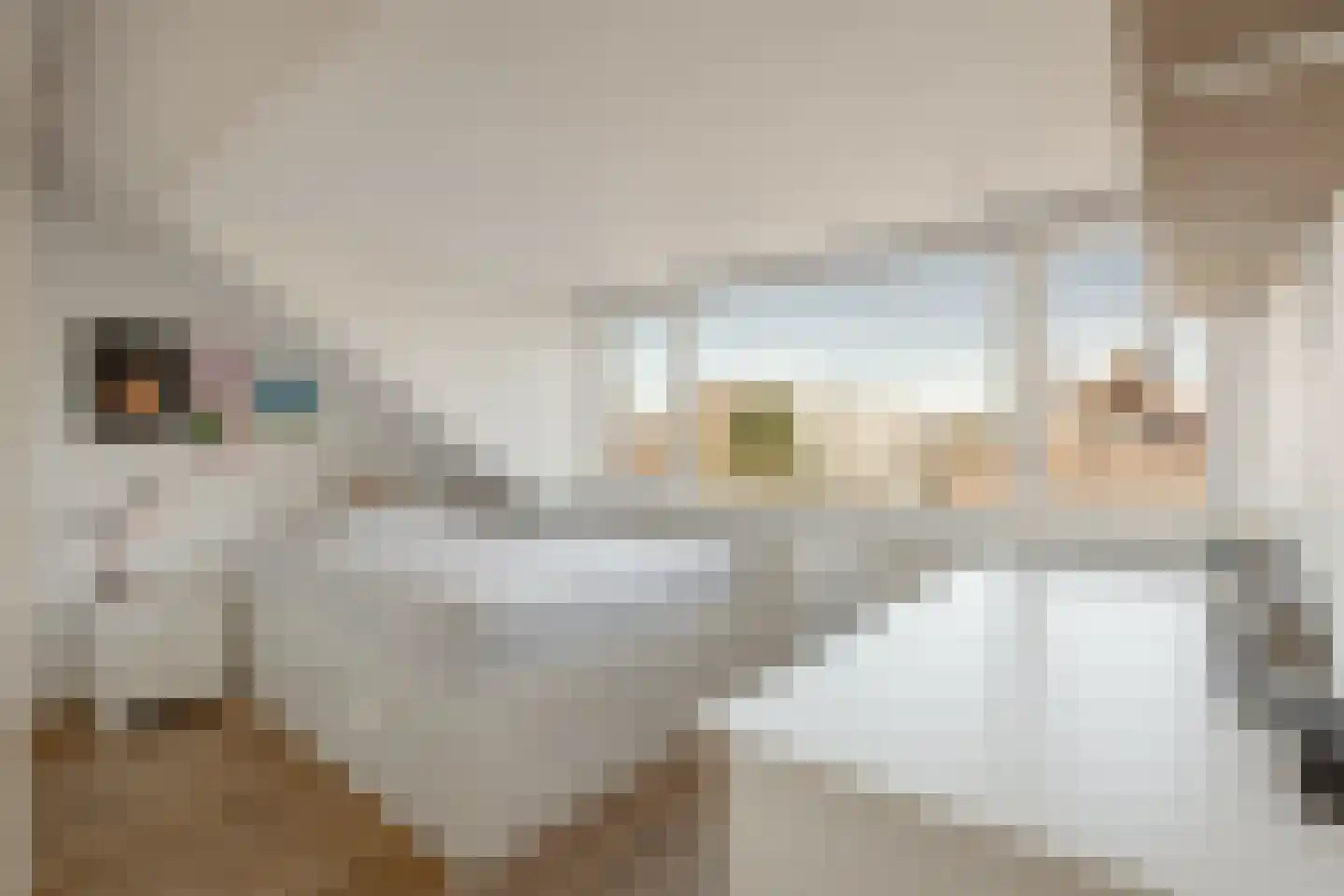 Runmoolen 10 Amstelveen thumbnail 30