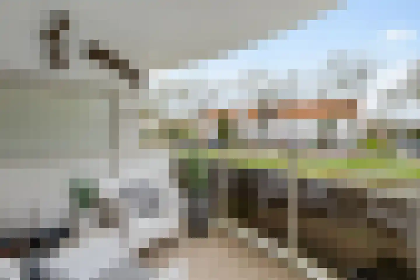 Runmoolen 113 Amstelveen thumbnail 16