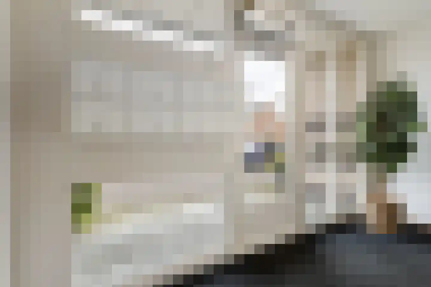 Runmoolen 113 Amstelveen thumbnail 25