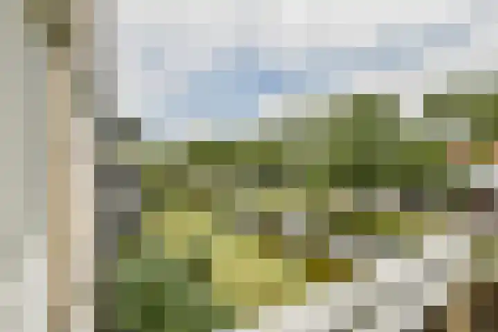 Runmoolen 129 Amstelveen thumbnail 11