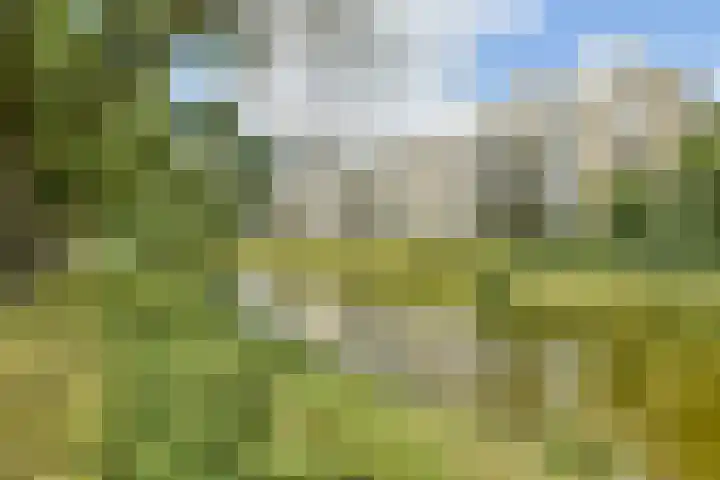 Runmoolen 129 Amstelveen thumbnail 23