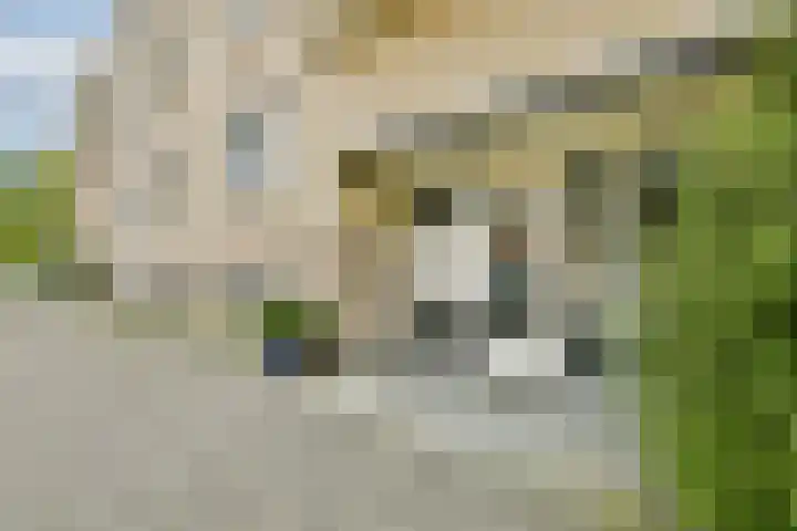 Runmoolen 129 Amstelveen thumbnail 24