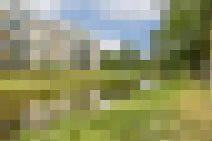 Runmoolen 129 Amstelveen thumbnail 25
