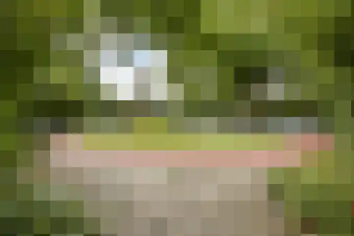 Runmoolen 129 Amstelveen thumbnail 27