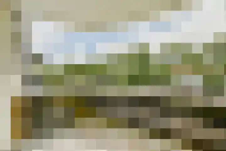 Runmoolen 129 Amstelveen thumbnail 4