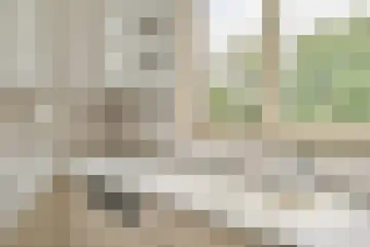Runmoolen 129 Amstelveen thumbnail 7