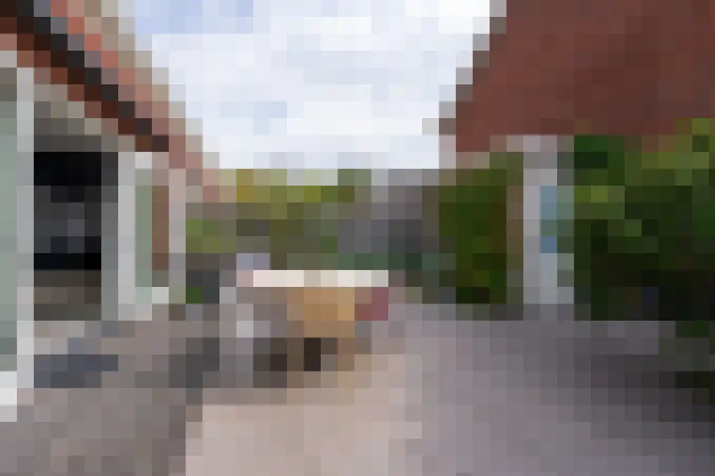 Runmoolen 177 Amstelveen thumbnail 18