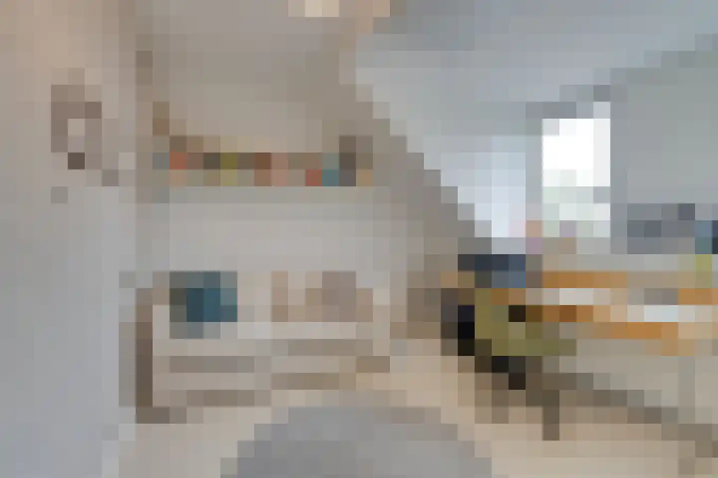 Runmoolen 177 Amstelveen thumbnail 33
