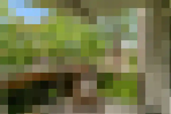 Runmoolen 7 Amstelveen thumbnail 26