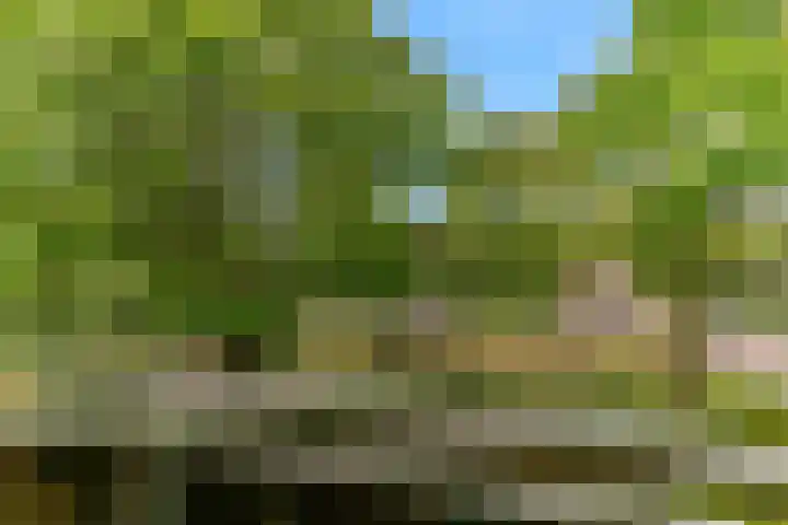 Runmoolen 7 Amstelveen thumbnail 27